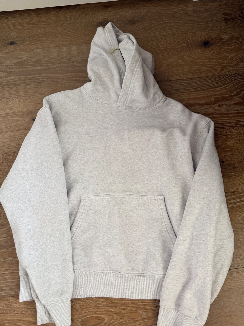 Aritzia Light Gray Hoodie Sweatshirt